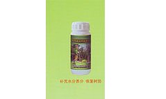 樹木移載養(yǎng)護系列