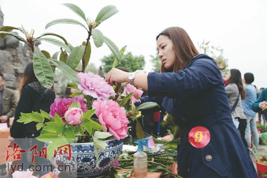 2014洛陽市插花藝術大賽介紹
