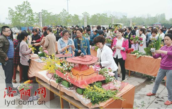 2014洛陽市插花藝術大賽介紹